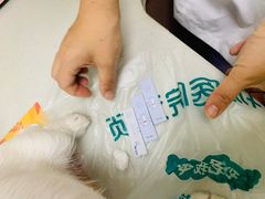 -瑞派宠物医院·24h·骨外科·皮肤科·全科宠物医疗转诊中心(沈阳浑南院)