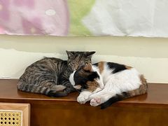 -大象厨房(重庆道店)