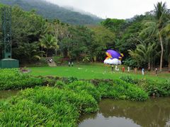 -呀诺达热带雨林