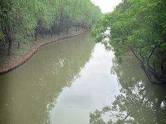 -溱湖国家湿地公园