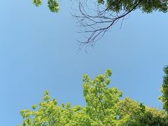 -白塘生态植物园