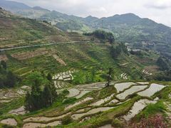 -紫鹊界梯田景区