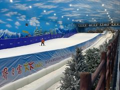 -世界之窗阿尔卑斯冰雪世界