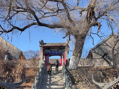-北山公园