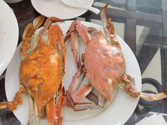-望海潮海鲜店 特色家常菜(在海一方店)