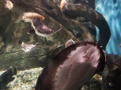 -苏州海洋馆