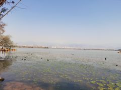 -西昌邛海湿地