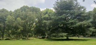 -花溪公园