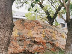-北京市鼓楼中医医院(北院区)