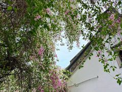 -深圳国际园林花卉博览园