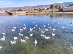 -青海湖国家重点风景名胜区