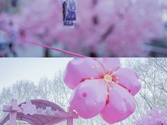 -金茂览秀城