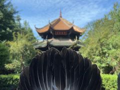 -青羊宫