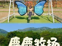 -盈香心动乐园