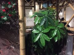 -小菜园新徽菜(常州武进吾悦店)