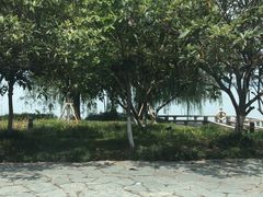 -金鸡湖桃花岛