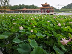 -南戴河国际娱乐中心