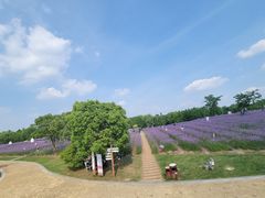 -同里国家湿地公园