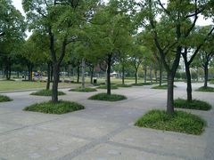 -新江湾城公园