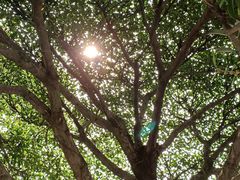 -聂荣臻元帅陈列馆