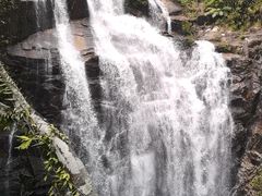 -海南热带雨林国家公园吊罗山景区