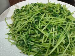 炒豆苗-孙府大院(步行街店)