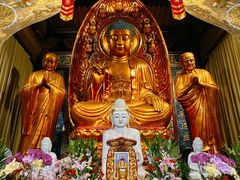 -普陀山慧济禅寺