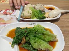 -小杨生煎(龙阳广场店)