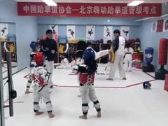 -嗨动跆拳道体能馆(菜百店)