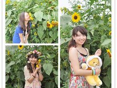 -北京东方普罗旺斯薰衣草庄园