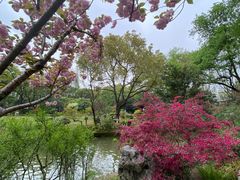 -上海醉白池公园