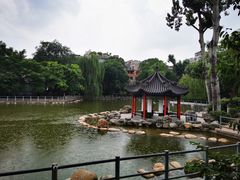 -莲湖公园
