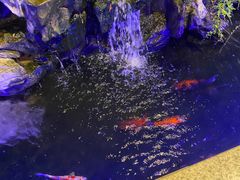 -顺德了能馆(虎门店)