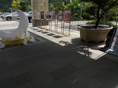 -品泉餐厅·大盆鱼·走地鸡
