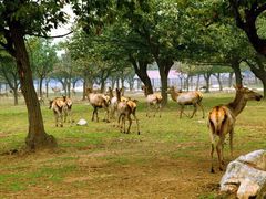 -西安秦岭野生动物园