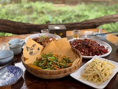 -青城甲(青城山店)