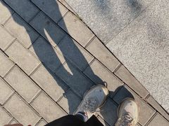 -星巴克(深圳五洲星苑店)