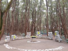 -同里国家湿地公园
