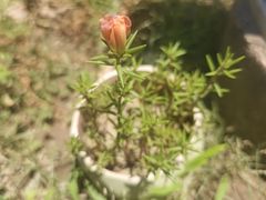 -新世界新丸中心-地下停车场