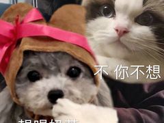 -City1+1城市比萨·意面(桂林路店)