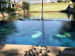-喜洲吧·江畔老船厂·庭院餐厅(喜临院店)