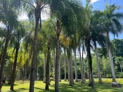 -中国科学院西双版纳热带植物园