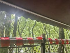 -巴倒烫陆派火锅山庄(南山总店)