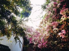 -深圳国际园林花卉博览园