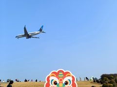 -空港花田景区