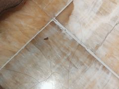 -济州岛汗蒸时代宝石生态热水浴