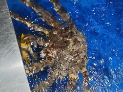 -盒马鲜生(帝斯曼店)