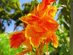 -国家植物园南园