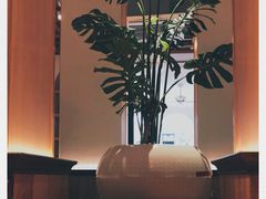 -森Some Fusion(荔湾店)