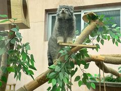 -青藏高原野生动物园